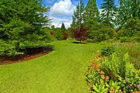 beats365 晋州城市绿化带种植什么植物比较好